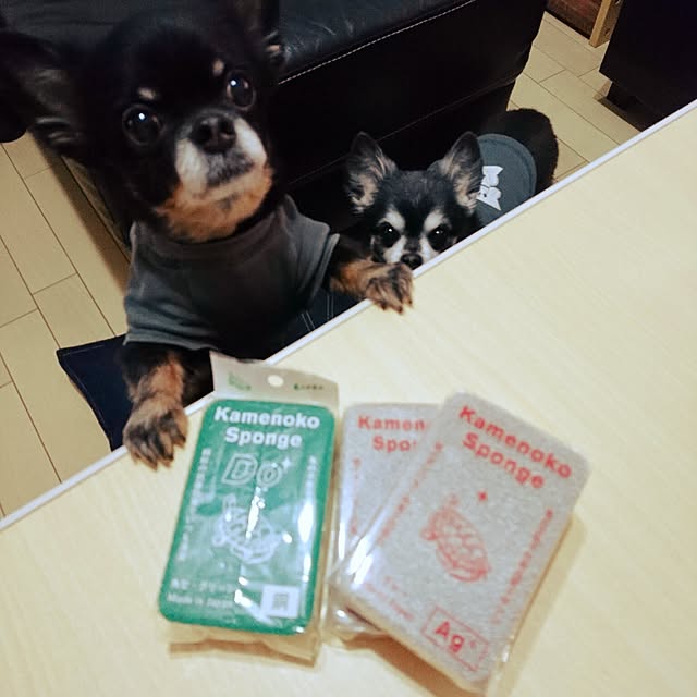 lovepeaceさんの実例写真