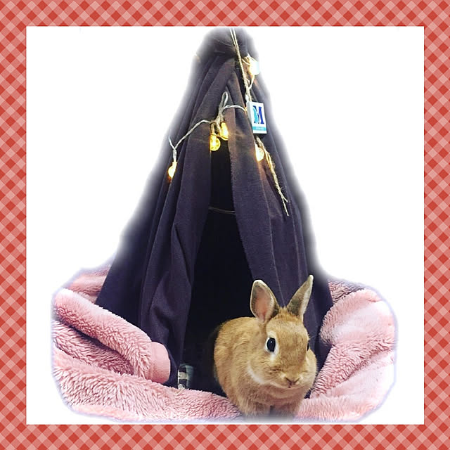 caorin.ozrinさんの実例写真