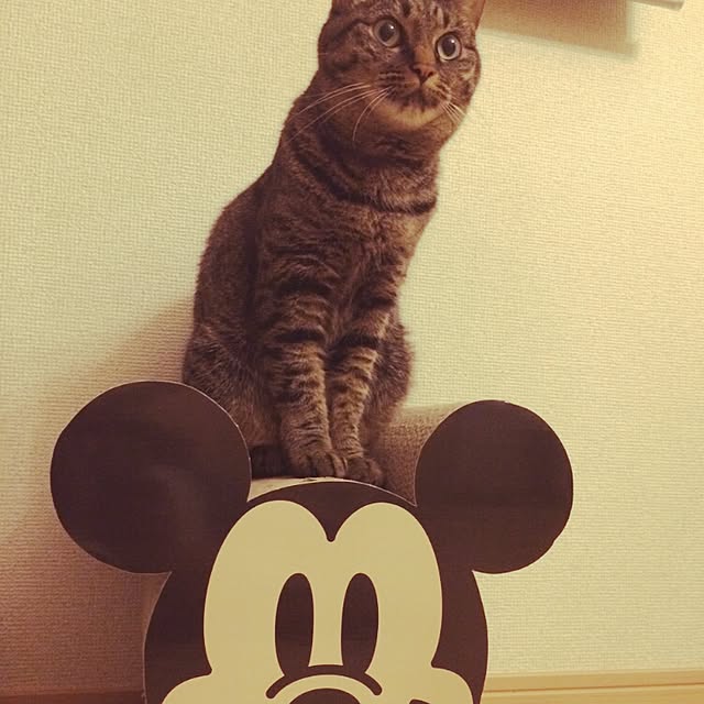 Tabasaさんの実例写真
