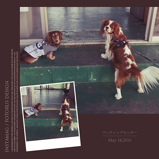 yupponさんの実例写真