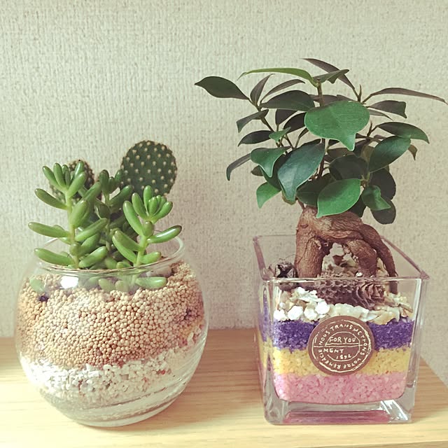 moamoaさんの実例写真