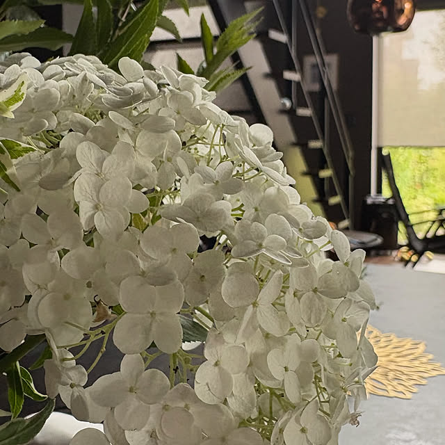 Ad.nakoさんの部屋