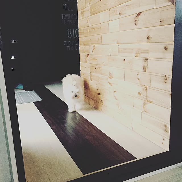 PUNさんの実例写真