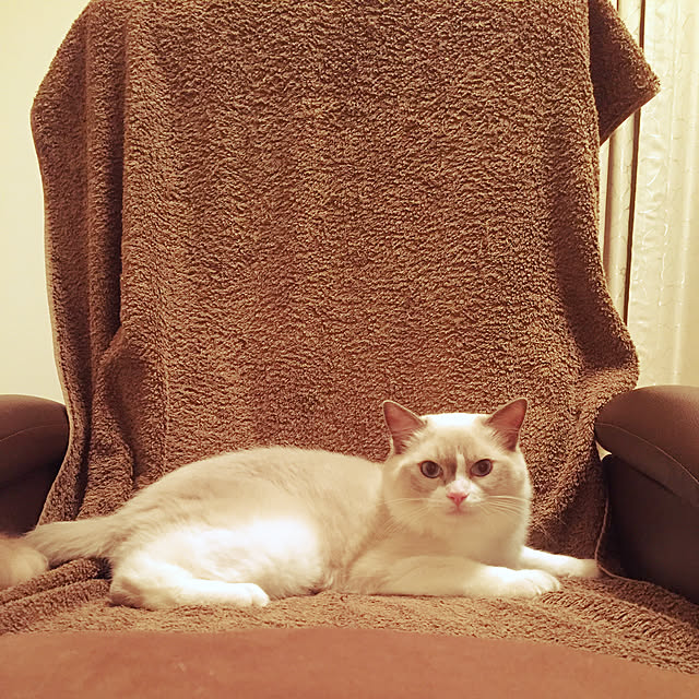 eikoさんの実例写真