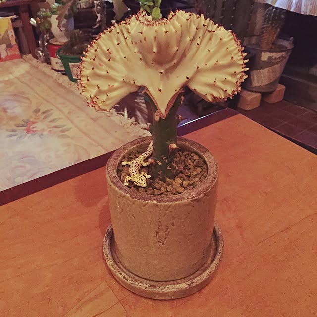 Masahideさんの実例写真