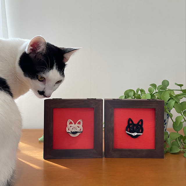 nobikoさんの実例写真