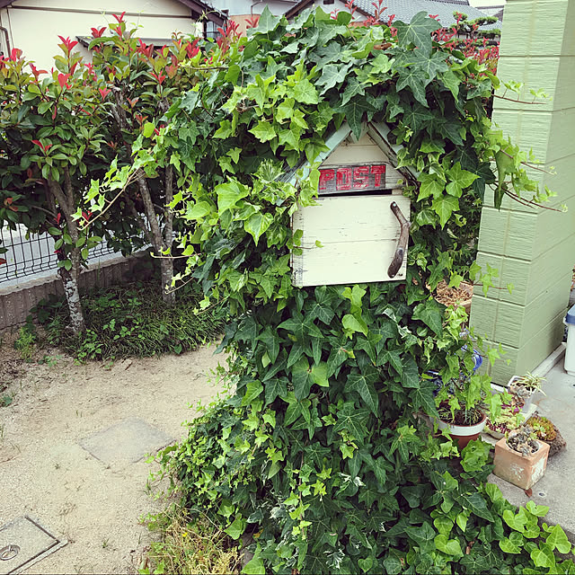 thukuneさんの実例写真