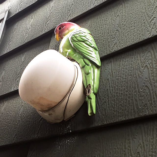 Emiさんの実例写真