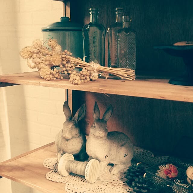 kochaさんの実例写真