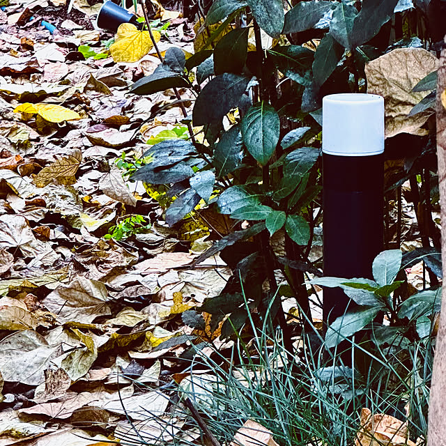 chacoさんの部屋