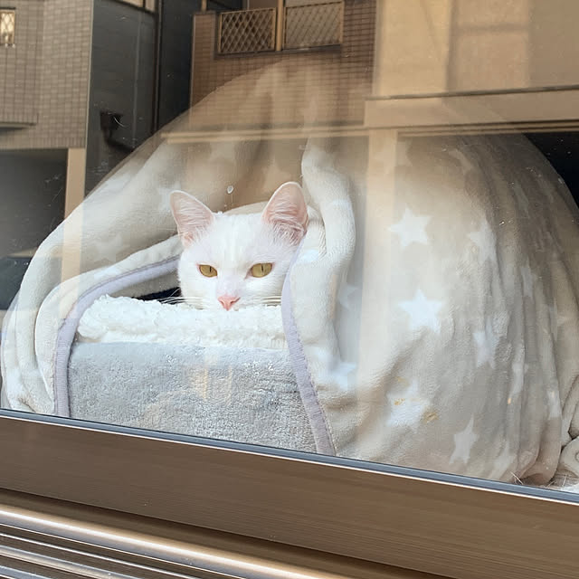 keiさんの実例写真