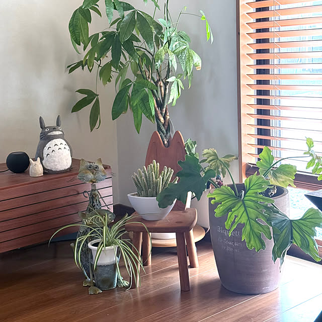 mizuyoさんの実例写真