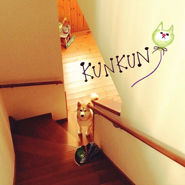 banzaigerさんの実例写真