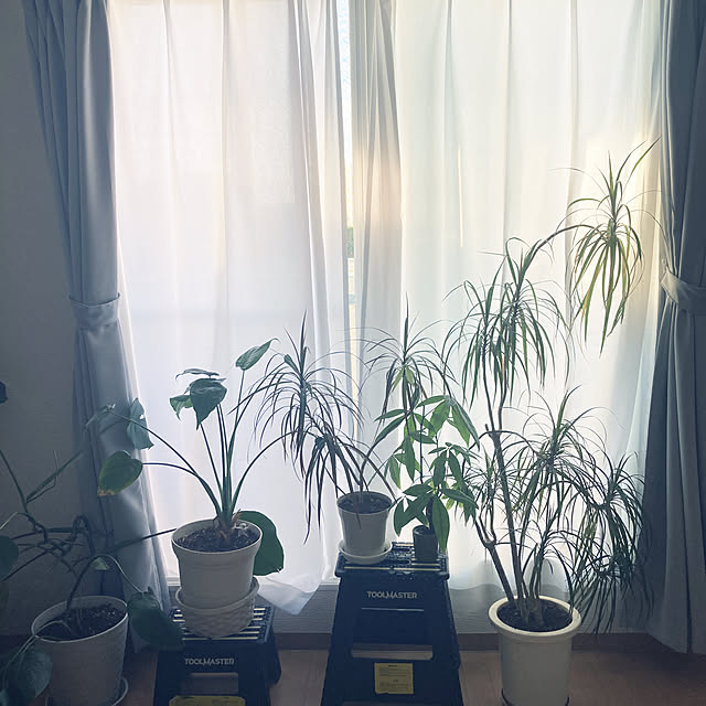 Sさんの実例写真