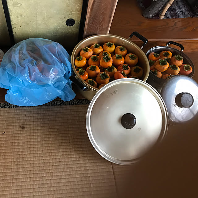 aoinokimiさんの実例写真