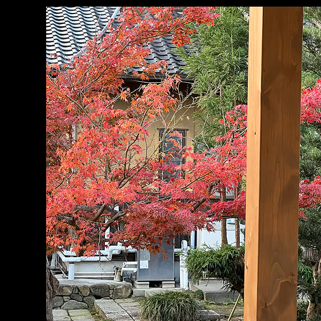 YUKINさんの実例写真