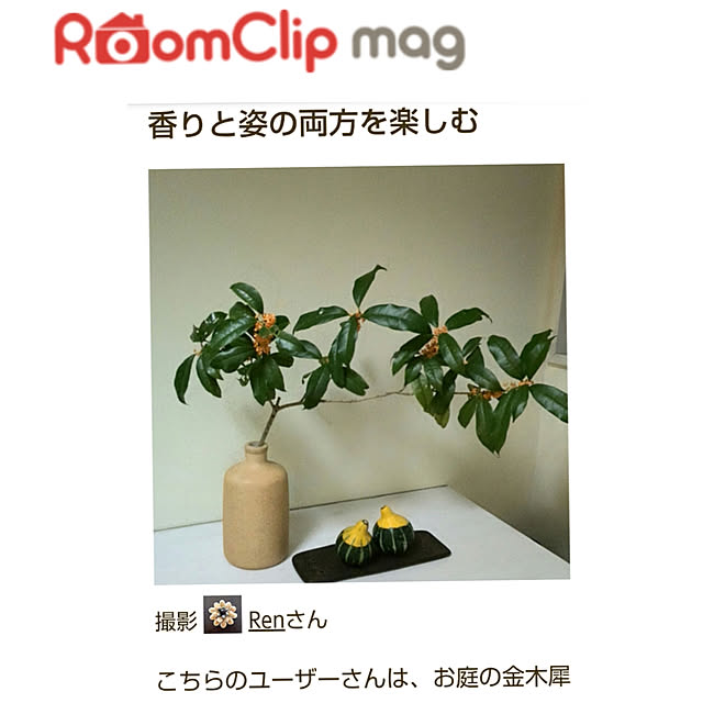 Renさんの実例写真