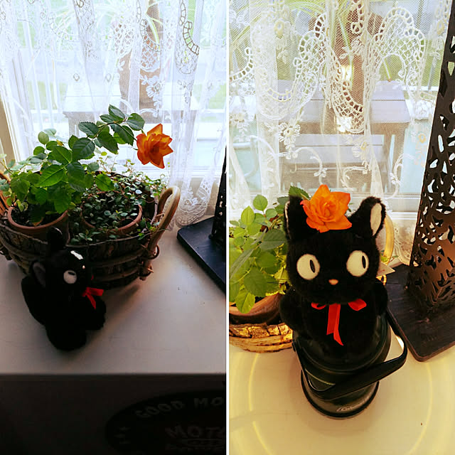 nyankonecoさんの実例写真