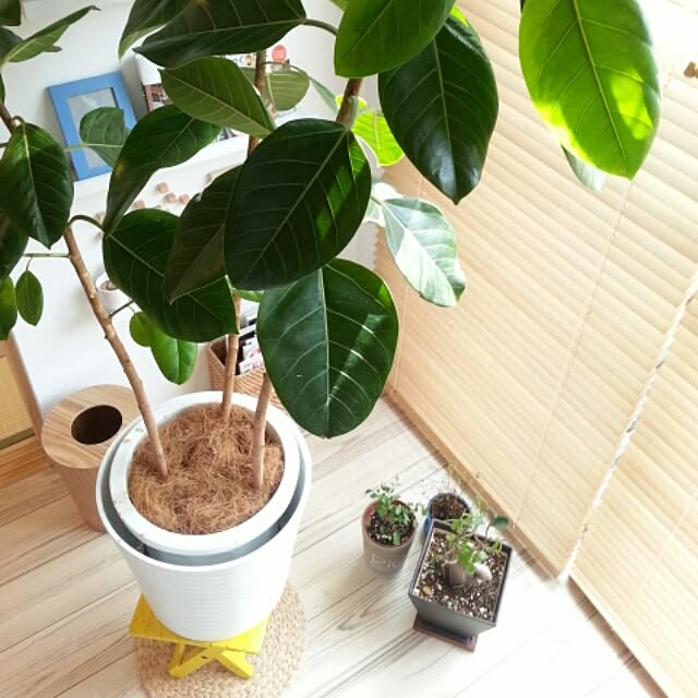 manabuさんの実例写真