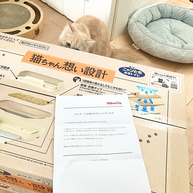kさんの実例写真