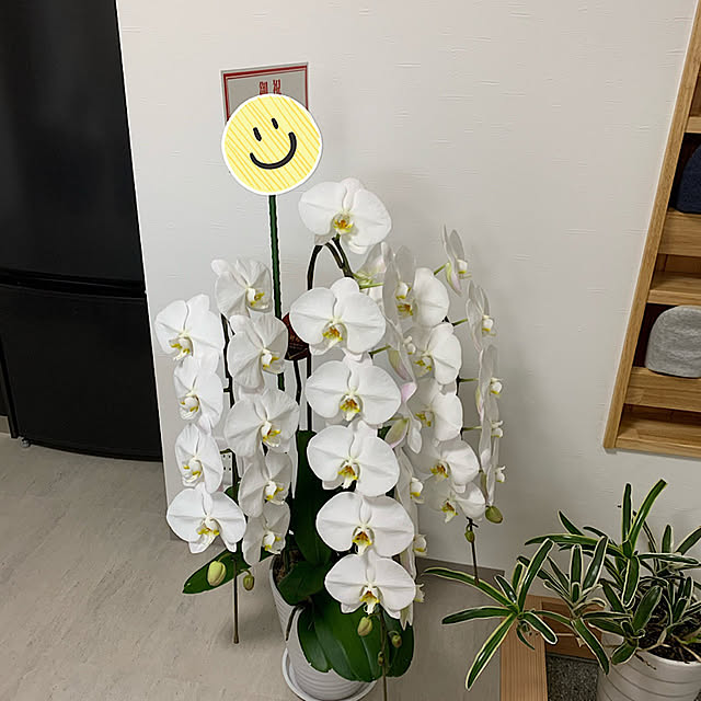toricotさんの実例写真