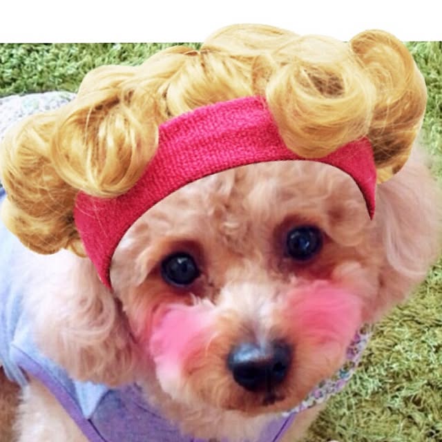 HappyRoseさんの実例写真