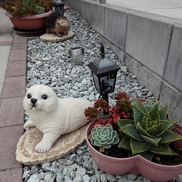 G.Mさんの実例写真