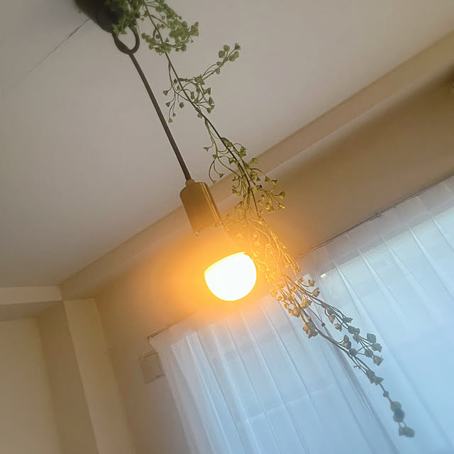 Ritsuさんの実例写真