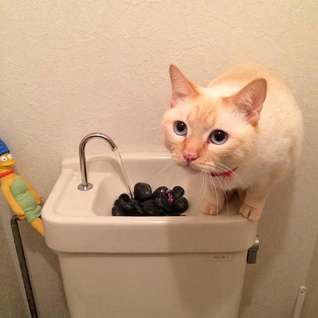 bobooooonさんの実例写真