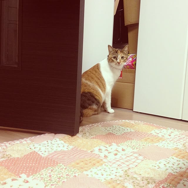meriiさんの実例写真