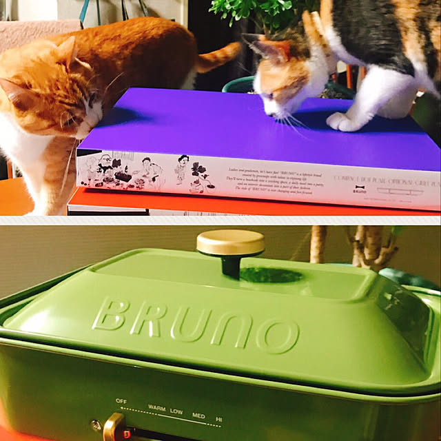 nyanko-beamさんの実例写真