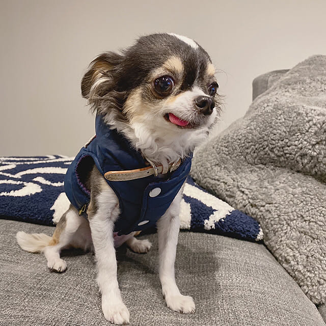 zero-kara.1209さんの実例写真