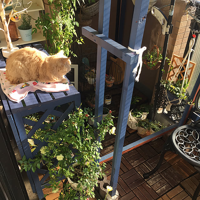 naokoさんの部屋