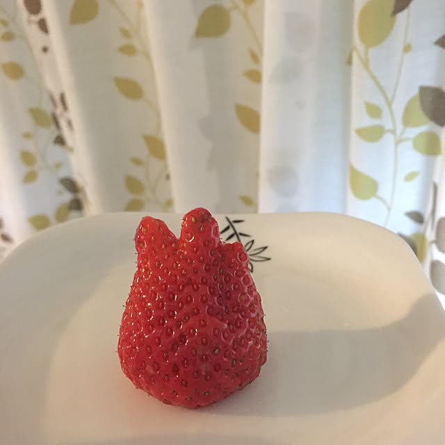 teteteteさんの実例写真