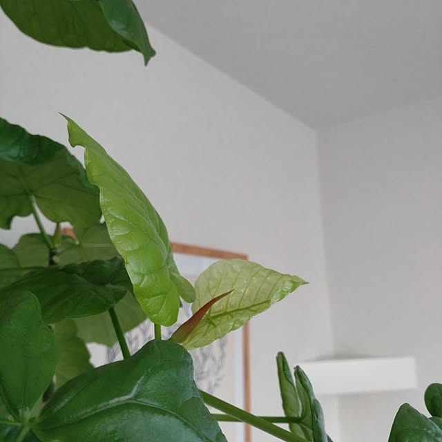 tan5さんの実例写真