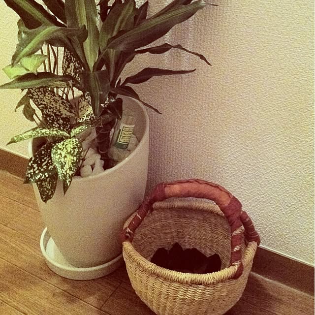 citronさんの実例写真
