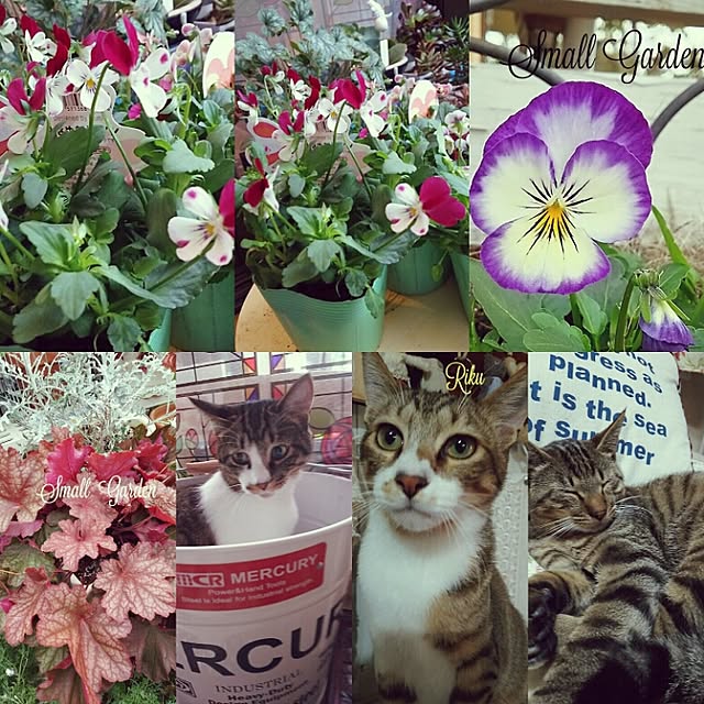 catriene0123さんの実例写真