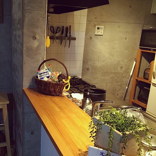 キッチン/多肉植物/IKEAのインテリア実例 - 2015-11-04 22:47:26