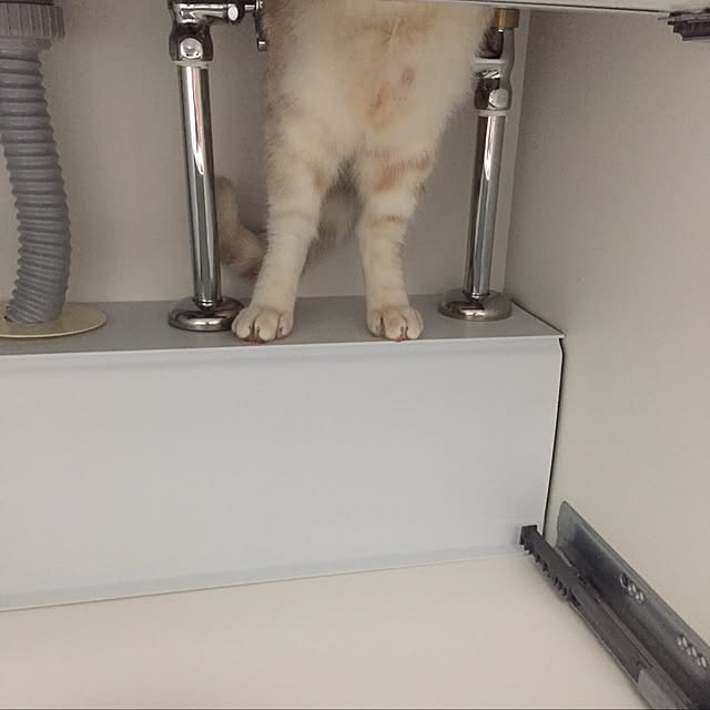 sirasu.nさんの実例写真