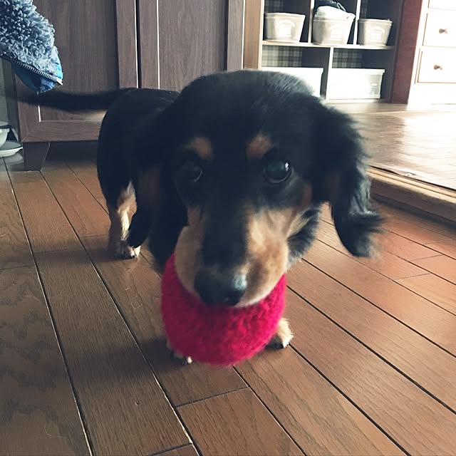 ohanaさんの実例写真
