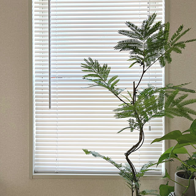 chiiさんの部屋