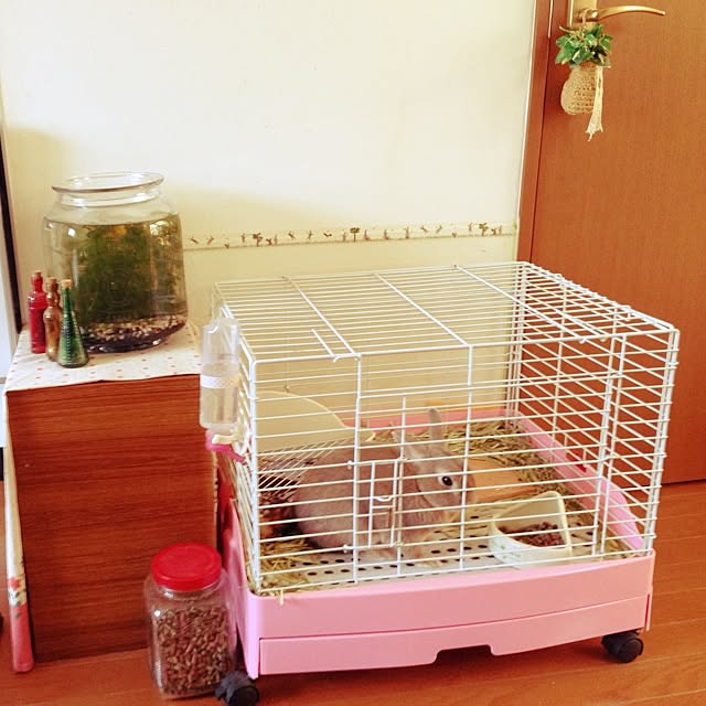niconicotomonyanさんの実例写真