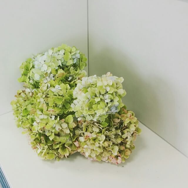 mokamokaさんの実例写真