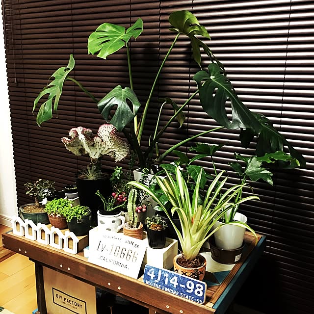 G.さんの実例写真