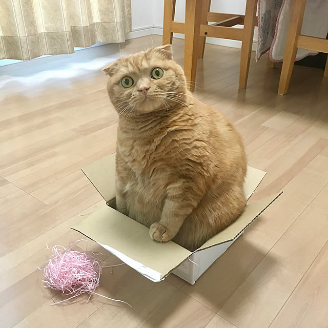 pinaminさんの実例写真