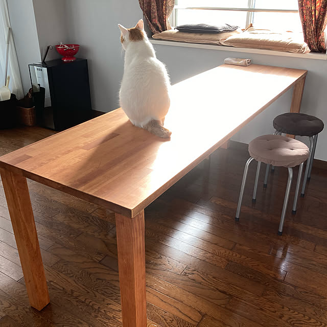 Tomokoさんの実例写真