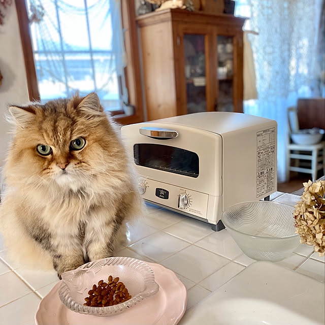 teddyさんの実例写真