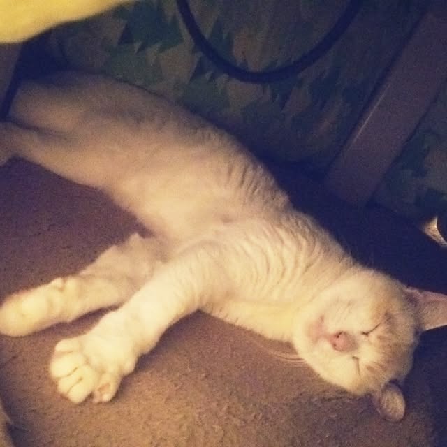 makimakiさんの実例写真