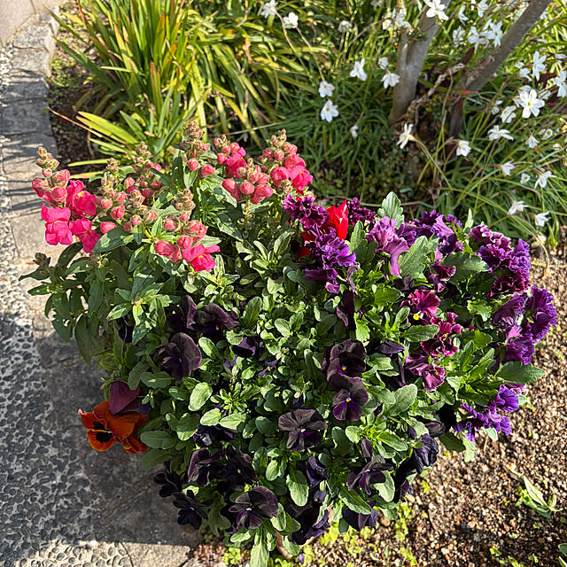 ritsukoさんの部屋