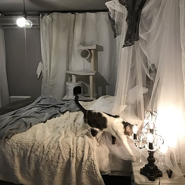 Shihoさんの実例写真